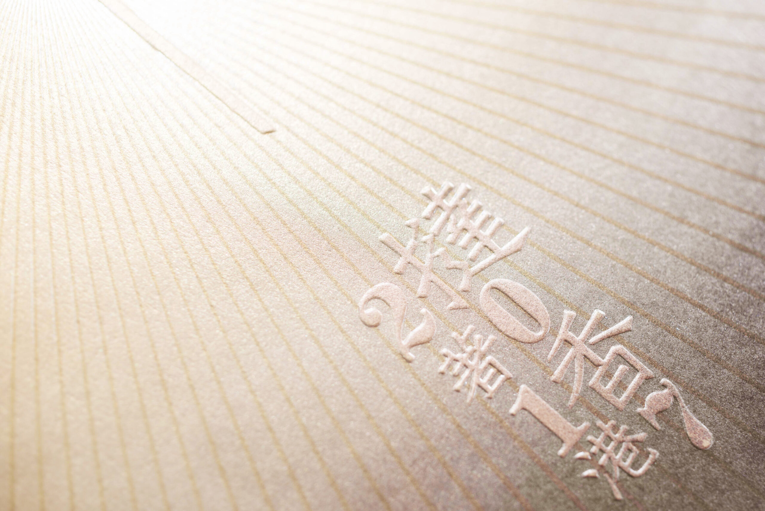 Champion of the 29th Hong Kong Print