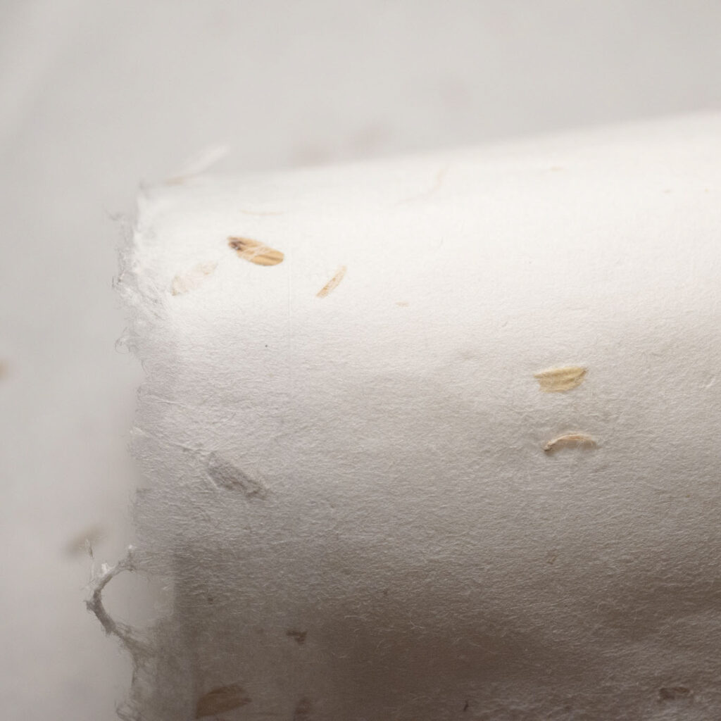 稻殼紙_Paper with rice husks