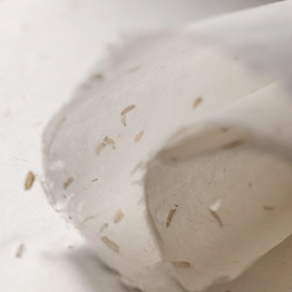 稻殼紙_Paper with rice husks